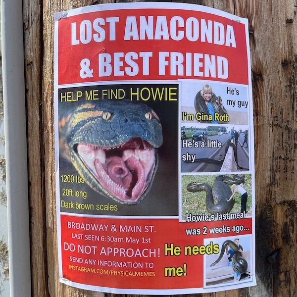 38 Ridiculous Street Flyers.