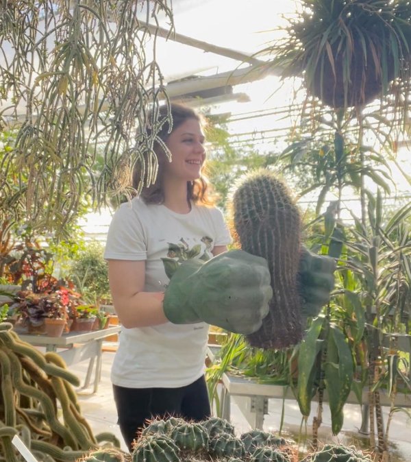 “We use hulk hands to move cacti at my work.”