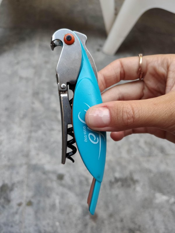 “This bottle opener that looks like a parrot.”