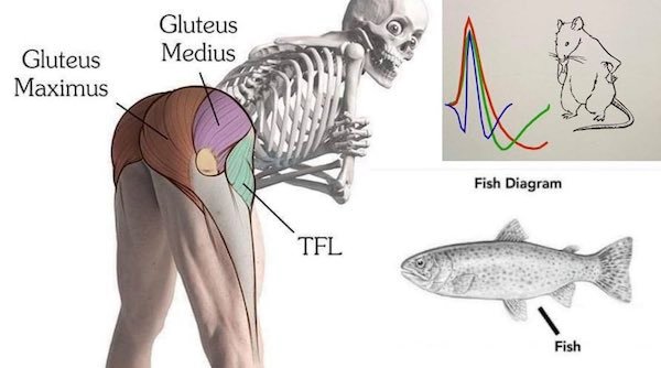 35 WTF Science Diagrams.