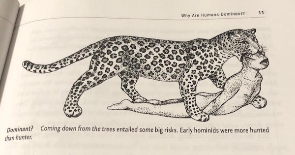 35 WTF Science Diagrams.