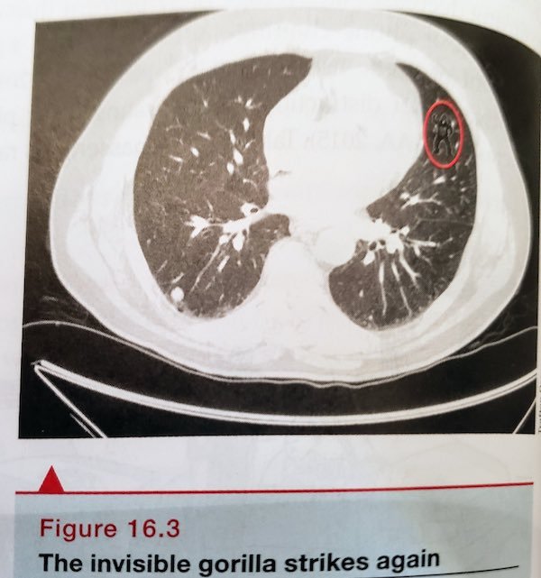 35 WTF Science Diagrams.