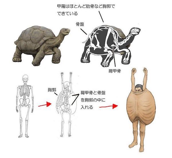 35 WTF Science Diagrams.