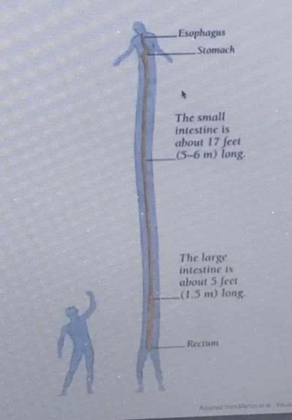 35 WTF Science Diagrams.