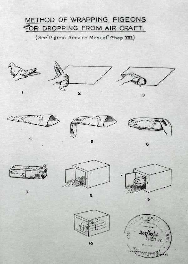 35 WTF Science Diagrams.