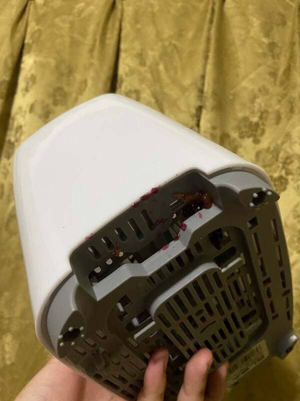 My sister toasted bread with jelly in my brand new toaster. She’s 31.