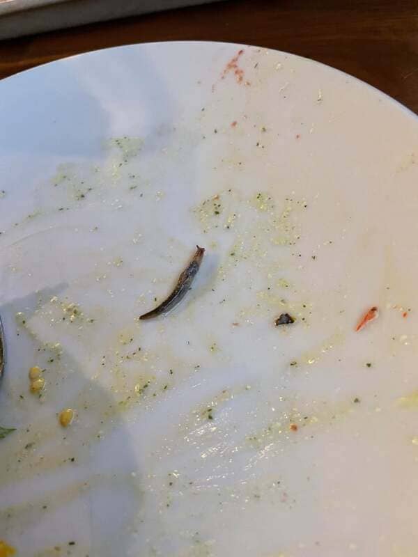 My girlfriend found a slug in her salad after she ate the whole thing.