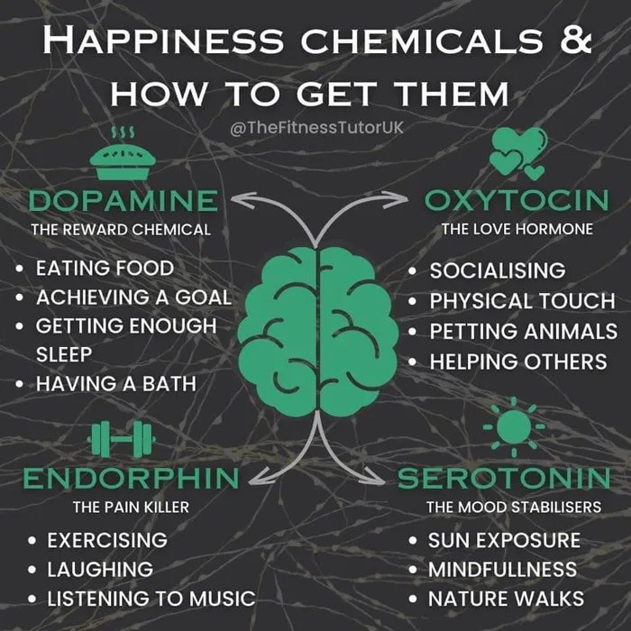 9gag dopamine serotonin - Happiness Chemicals & How To Get Them TutorUK $55 Dopamine Oxytocin The Reward Chemical The Love Hormone Eating Food Socialising Achieving A Goal Physical Touch Getting Enough Petting Animals Sleep Helping Others Having A Bath A 