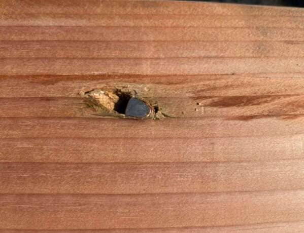 “Doing a DIY project at home and the lumber I bought from Lowe’s has a bullet it in.”