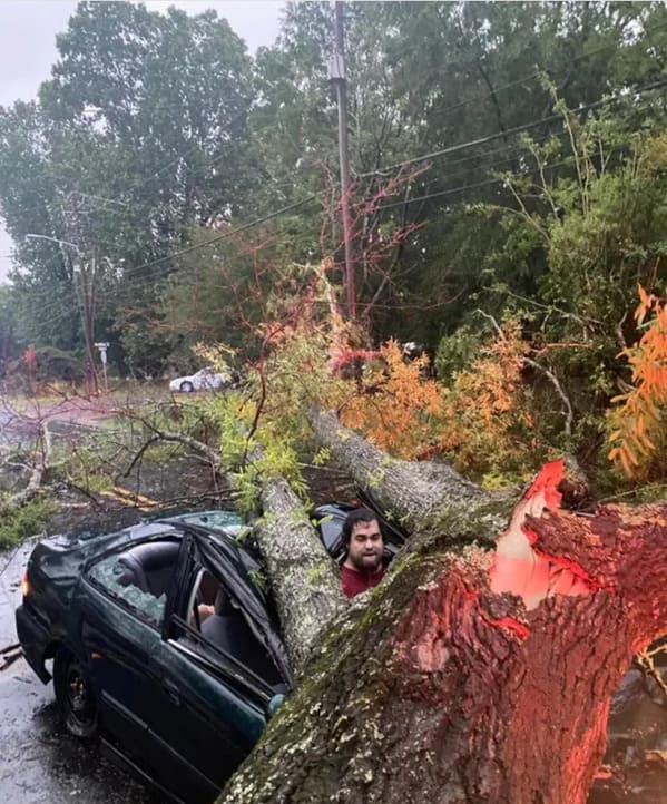 “Man narrowly avoids being crushed by a tree struck by lightning: ‘I felt like Buster Keaton.'”