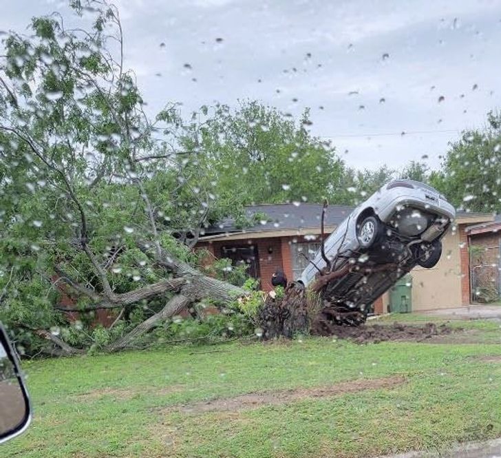 Natural domino effect: “A storm knocked over a tree whose roots lifted the car parked next to it.”