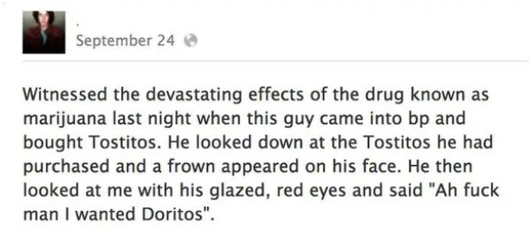 28 People Who Were High As A Kite.