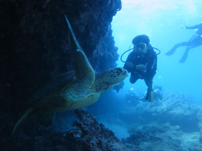 I'm a marine biologist. I spent the last week measuring defrosted fish heads.