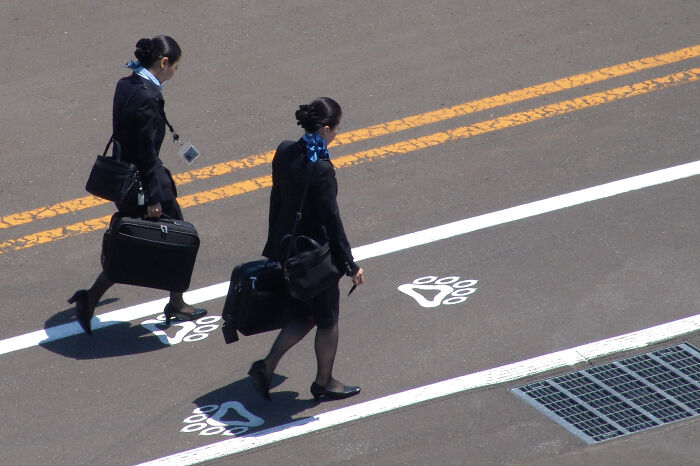 FLIGHT ATTENDANT. 1) You are on call (on reserve) forever, have a terrible schedule, have no life, and make no money for 5-10 years. 2) While you work for peanuts, you can’t afford to use your flight “benefits” in any substantial way. 3) Then, when you finally get a chance to use your benefits for a trip, you have to fly standby which means you aren’t guaranteed to get on the flight you want. 4) Then, if you do make it out of town you better have like a week off so you can make damn sure you’re back in your base city in time for your next work shift. 5) Did I mention there is an act of US legislation (Railway Labor Act) that allows airlines to exploit so you don’t get paid for certain work hours that you actually need to be working? For example, FAs don’t get paid for boarding, or any time the plane is at the gate. WORST JOB EVER.