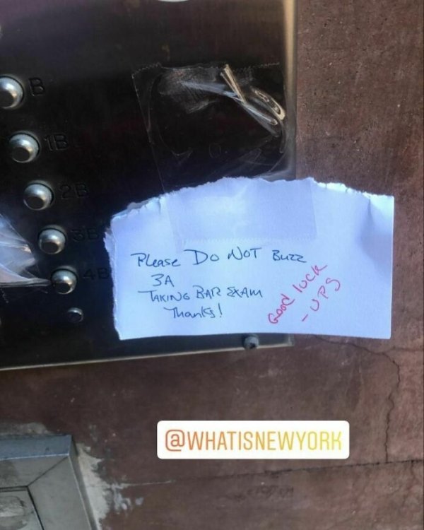 31 WTF Things Spotted In New York.