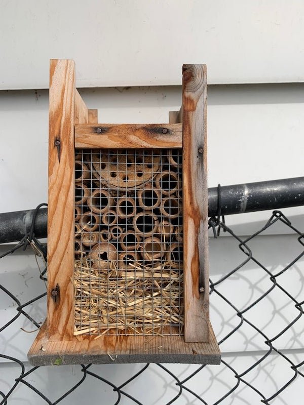 It’s upside but looks to be a feeder or nester of some sort, attached to the top of the fence by previous owner. What is this thing?

A: It’s for bees, particularly Mason bees.