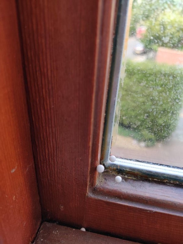 What are these small white balls that keep appearing in the corner of my window?

A: Sometimes the cavity in your walls will be blown full of polystyrene balls like that. Maybe you have a small hole that is letting in a draft and blowing the balls out.