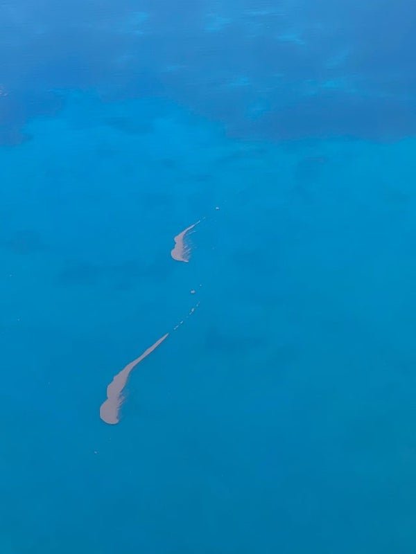 Pink floating islands, flying in to Mexico?

A: Pumice raft