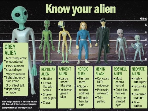 alien types - Know your alien 6 feet 5 Grey Alien Most frequently encountered Black almond shaped eyes Very thin build, light bluegrey skin color 3.5 7 feet tall. depending Reptilian Ancient Alien Alien Hostile Large Lizard insect with scales Yellowish Sn
