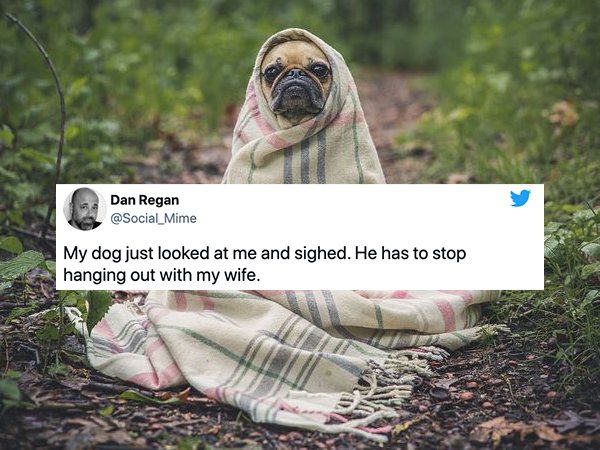 25 Pics That Prove That Married Life Might Be A Joke.