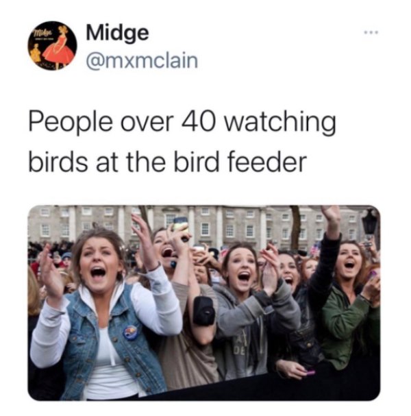 Barack Obama - mile Midge People over 40 watching birds at the bird feeder De