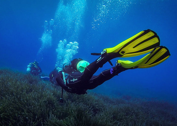 in 1998, a married couple was left behind during a diving trip to the Great Barrier Reef. Two days passed before anyone realized what had happened. Despite a 5-day search, the couple was never found. A dive slate was later recovered which read "... rescue us before we die..."