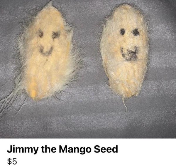 pet - Jimmy the Mango Seed $5