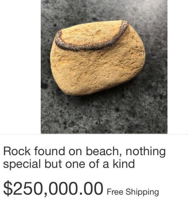 artifact - Rock found on beach, nothing special but one of a kind $250,000.00 Free Shipping