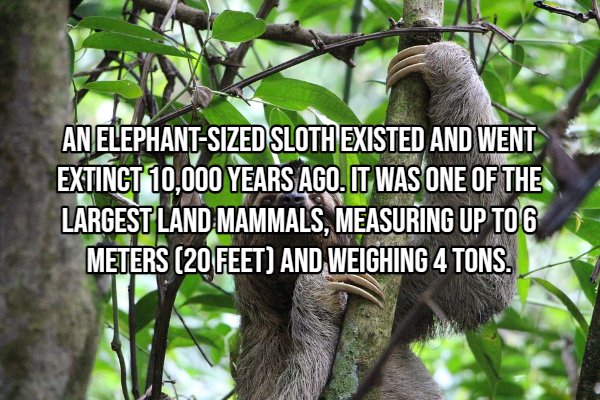 22 Random Facts to Shove in Your Head.