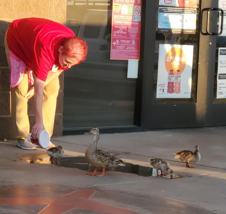 “On a road trip and saw this lovely old lady giving water to a family of ducks who were miles from a body of water on a 101°F day.”