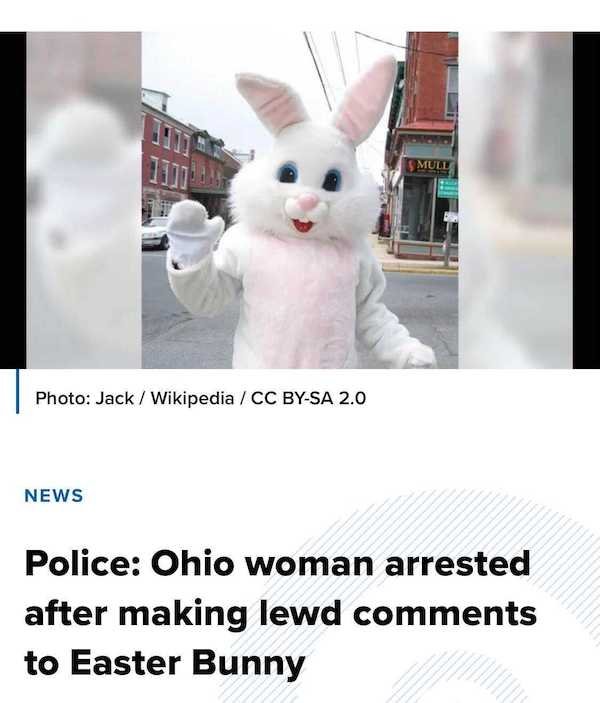 15 Times Ohio Woman Was Caught Being Stupid.