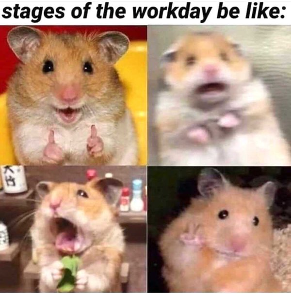 hamster meme - stages of the workday be K
