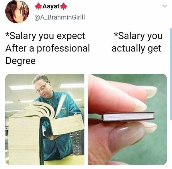 big book meme - Aayat Salary you expect After a professional Degree Salary you actually get will