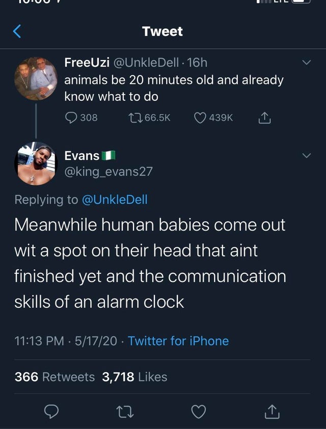 screenshot - Tweet FreeUzi 16h animals be 20 minutes old and already know what to do 308 Evans 1 Meanwhile human babies come out wit a spot on their head that aint finished yet and the communication skills of an alarm clock . 51720 Twitter for iPhone 366 