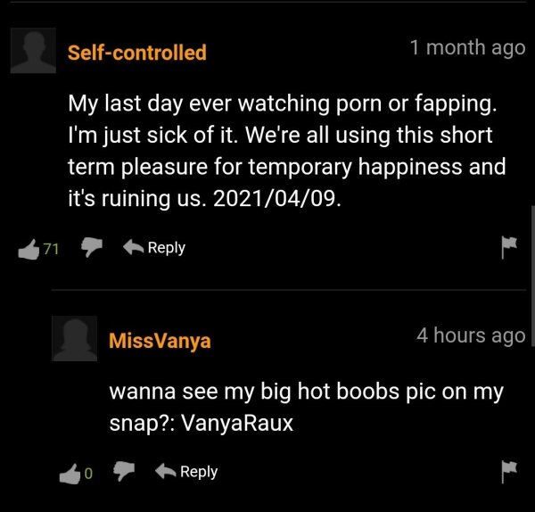 33 Pornhub Comments That Are Something Else.