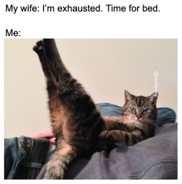 30 Marriage Memes You Might Be Able to Relate to.