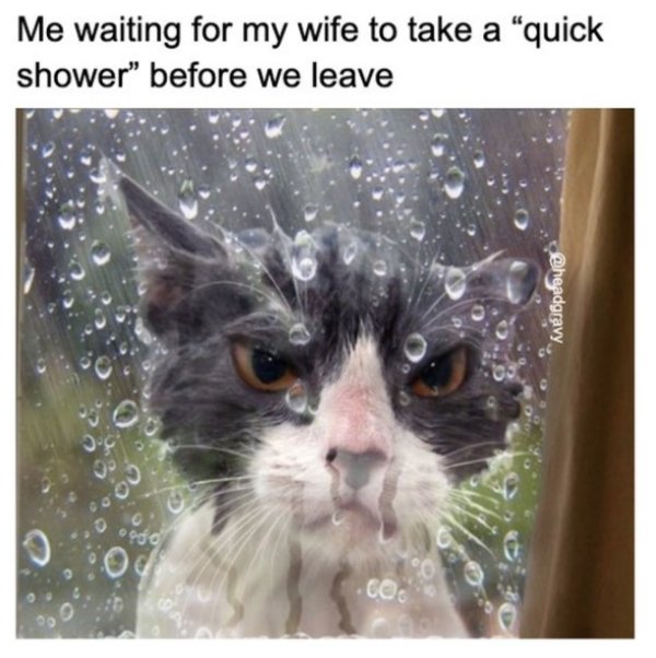 30 Marriage Memes You Might Be Able to Relate to.