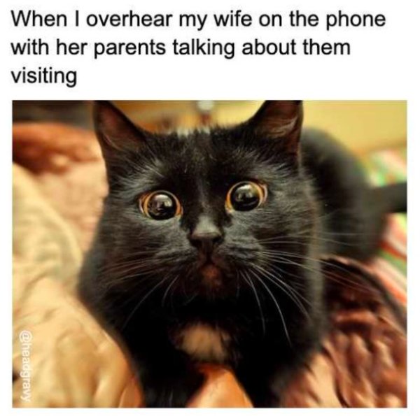 30 Marriage Memes You Might Be Able to Relate to.