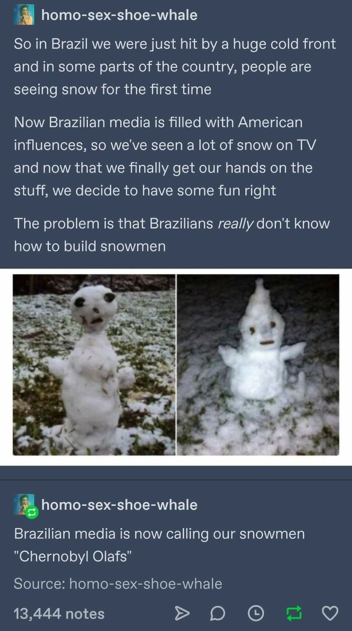 funny and dumb points people made online - chernobyl olafs - homosexshoewhale So in Brazil we were just hit by a huge cold front and in some parts of the country, people are seeing snow for the first time Now Brazilian media is filled with American influe
