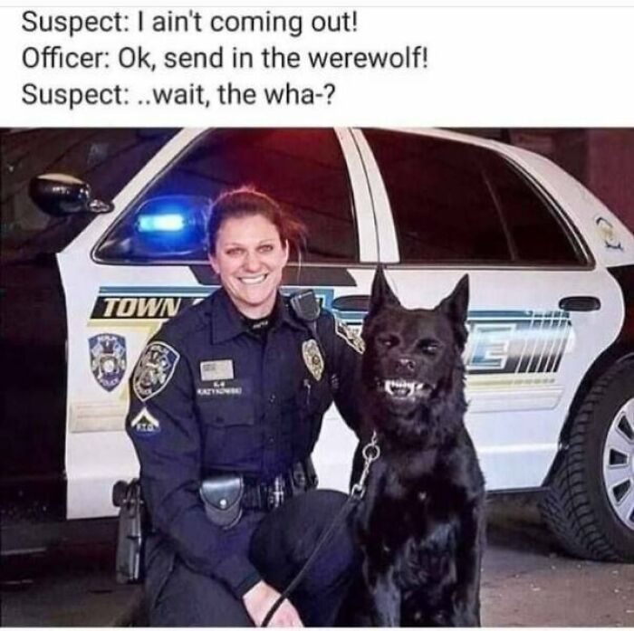 funny and dumb points people made online - lucifer fetch me his soul - Suspect I ain't coming out! Officer Ok, send in the werewolf! Suspect ..wait, the wha? Town
