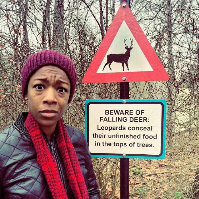 funny and dumb points people made online - beware of falling deer - Beware Of Falling Deer Leopards conceal their unfinished food in the tops of trees.