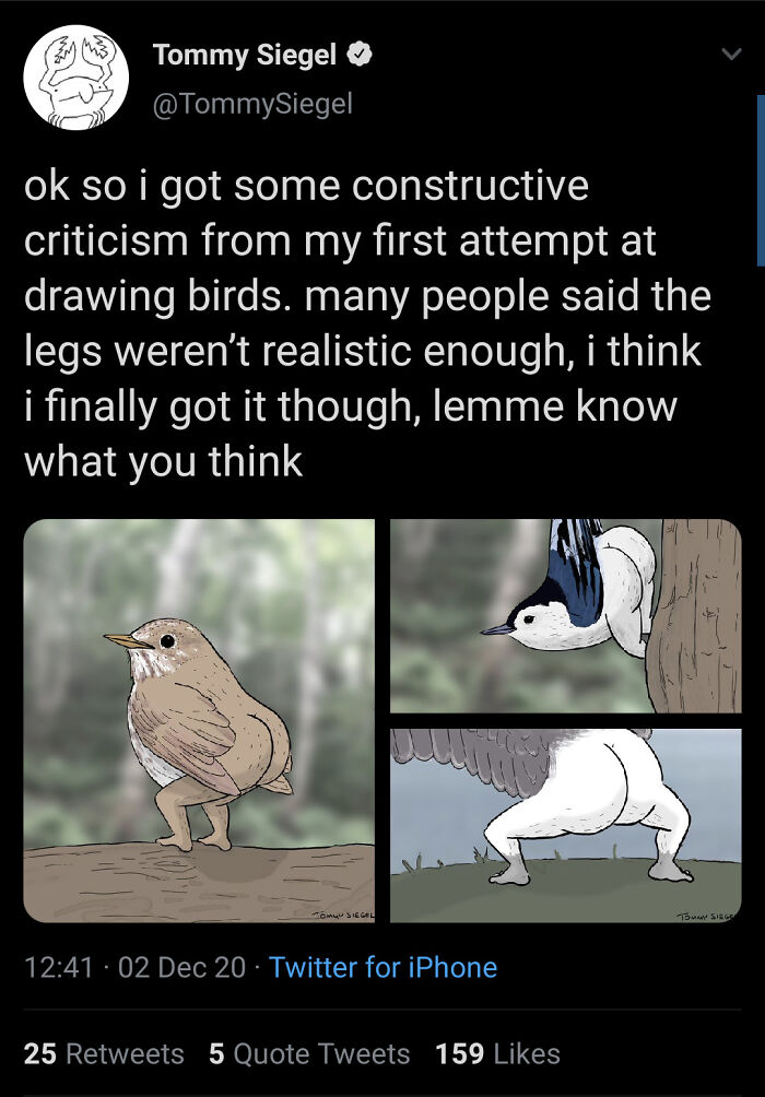 funny and dumb points people made online - fauna - Tommy Siegel ok so i got some constructive criticism from my first attempt at drawing birds. many people said the legs weren't realistic enough, i think i finally got it though, lemme know what you think 