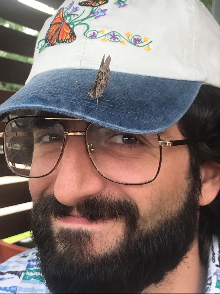 “The butterfly hat I bought today attracted an actual butterfly.”