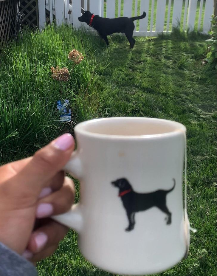 “My puppy kinda looks like this mug my parents have had for almost 20 years.”
