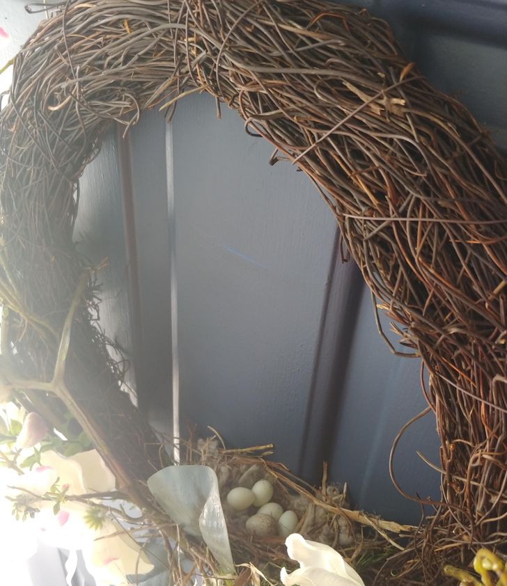 “A bird has made a nest in my front door wreath!”