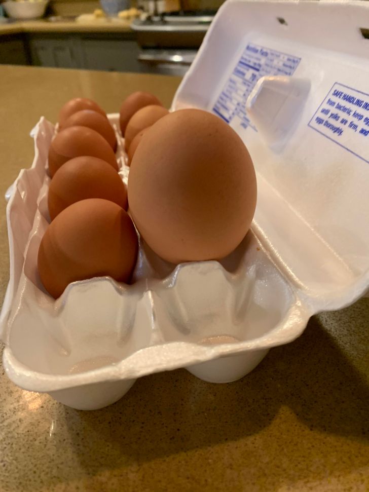“A store-bought egg vs the egg my chicken laid this morning”