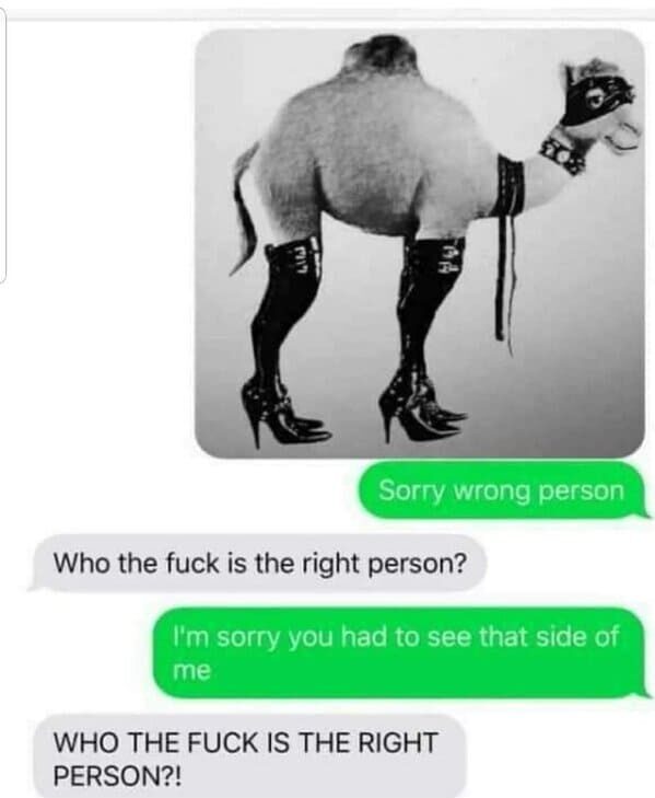 sorry wrong person - Sorry wrong person Who the fuck is the right person? I'm sorry you had to see that side of me Who The Fuck Is The Right Person?!