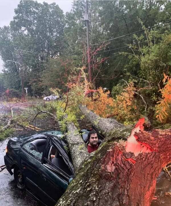 Man narrowly avoids being crushed by a tree struck by lightning: “I felt like Buster Keaton.”