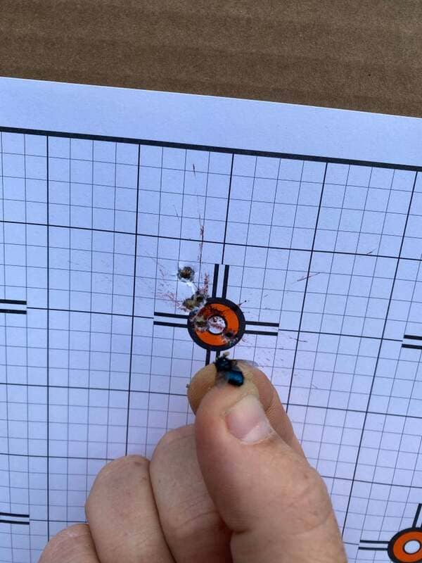 Achievement unlocked! Shoot the head off of a fly at 50yds.