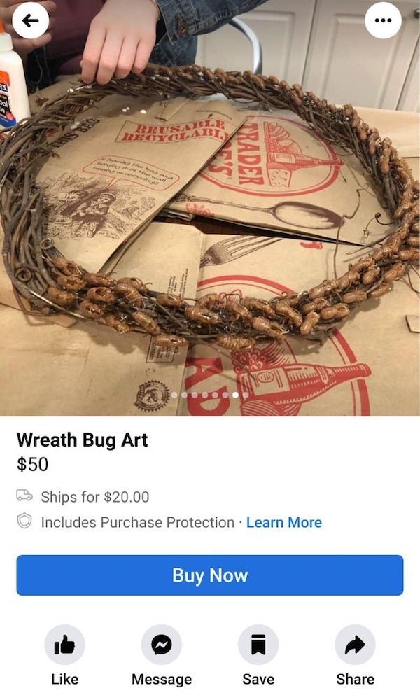 jaw - Leusabil Prader Wreath Bug Art $50 6 Ships for $20.00 Includes Purchase Protection. Learn More Buy Now Message Save
